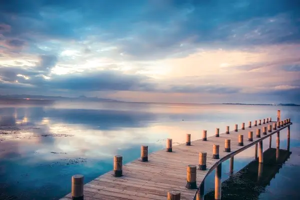 广东防火胶公司排名前十